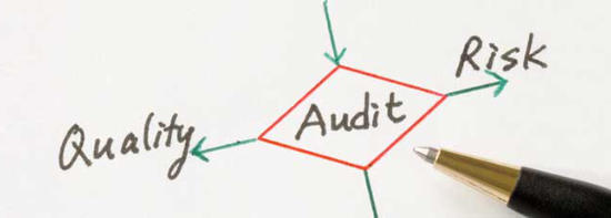 Supplier Audits